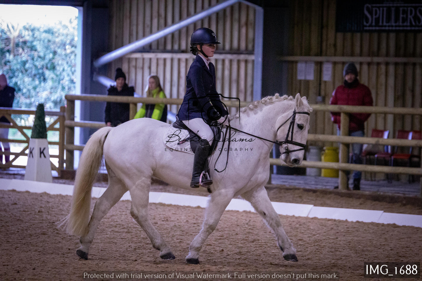 Home Farm Dressage 22nd January - Juniors