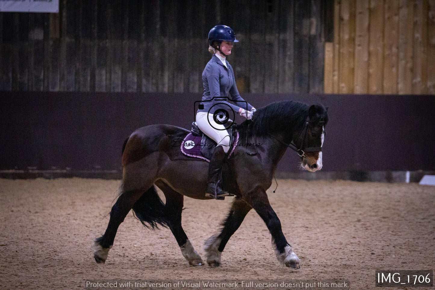 Home Farm Dressage 22nd January - Juniors