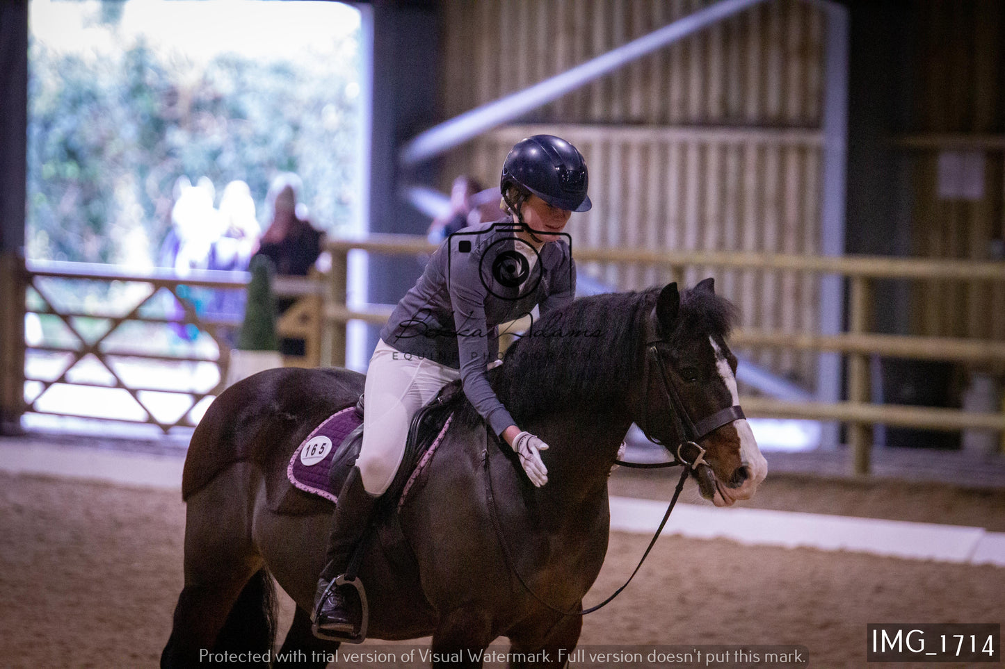 Home Farm Dressage 22nd January - Juniors