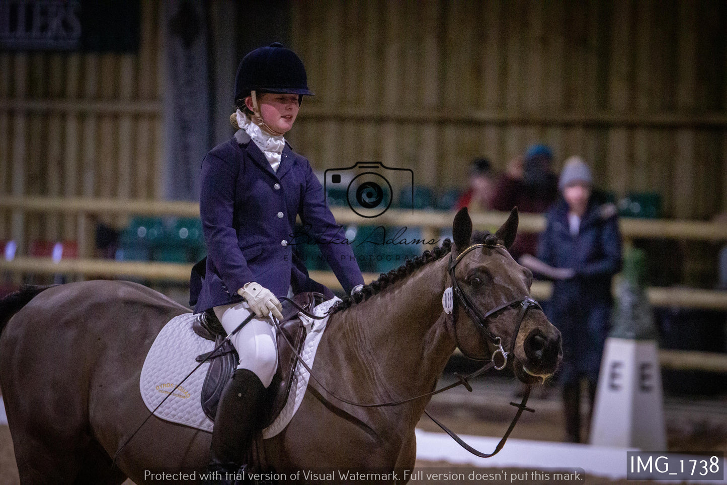 Home Farm Dressage 22nd January - Juniors