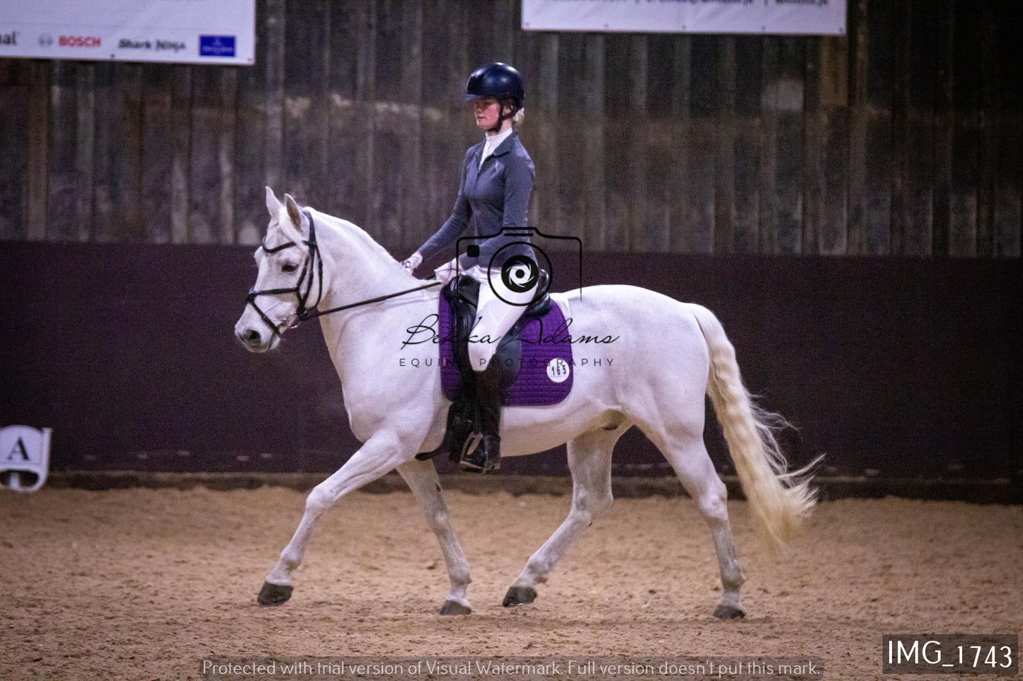 Home Farm Dressage 22nd January - Juniors