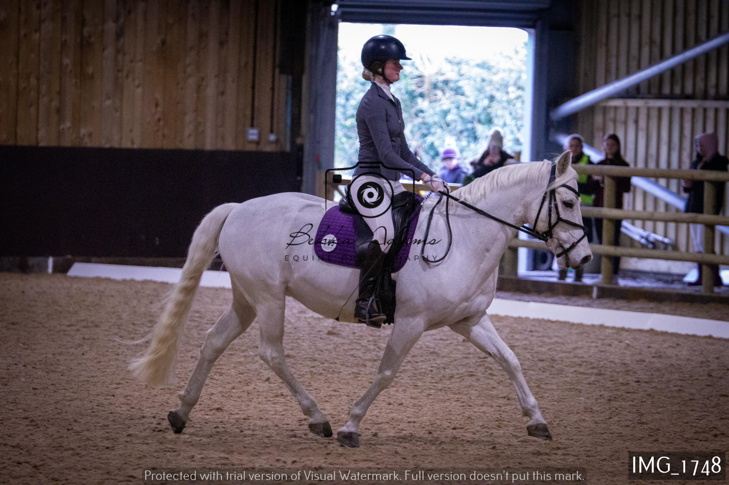 Home Farm Dressage 22nd January - Juniors