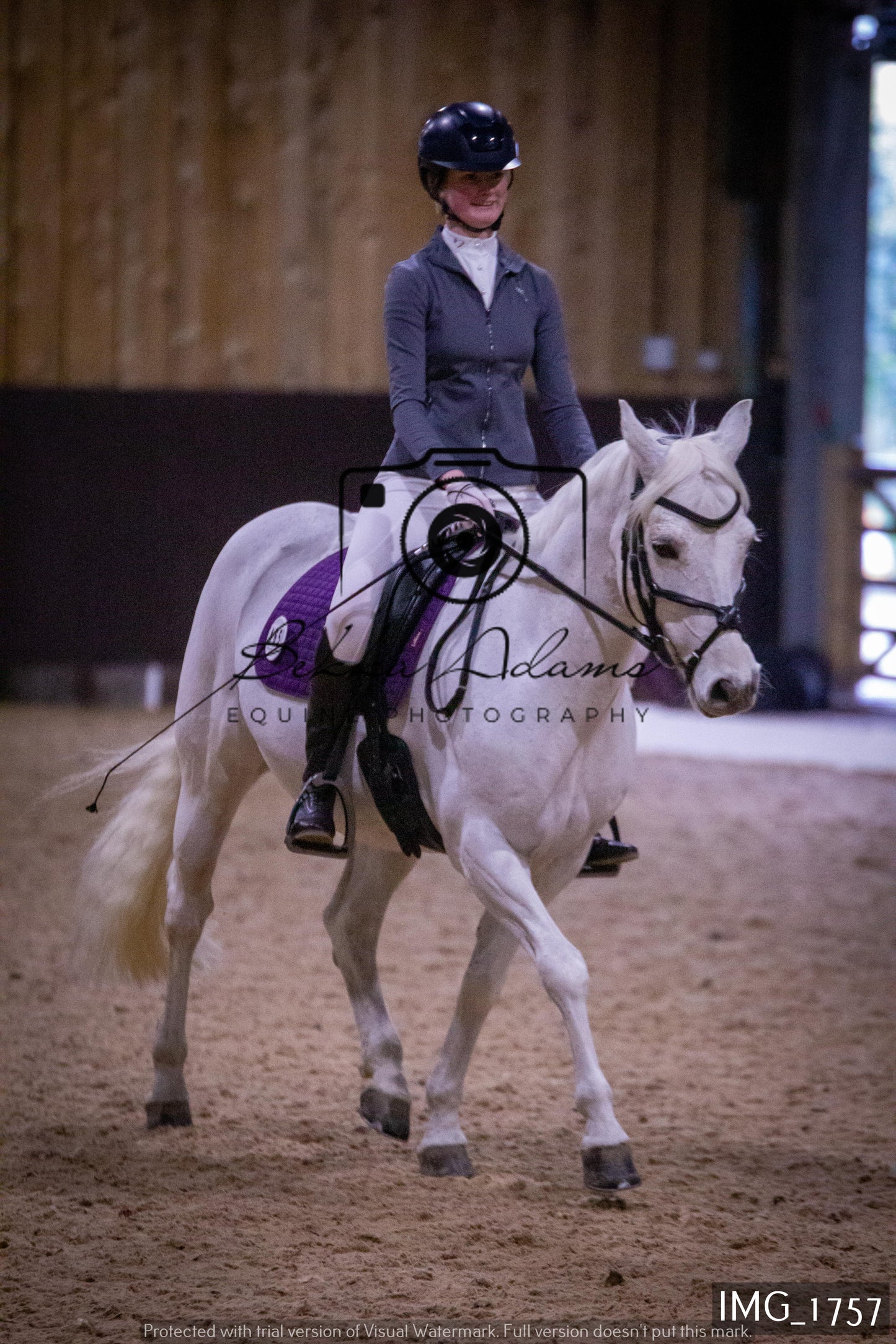 Home Farm Dressage 22nd January - Juniors