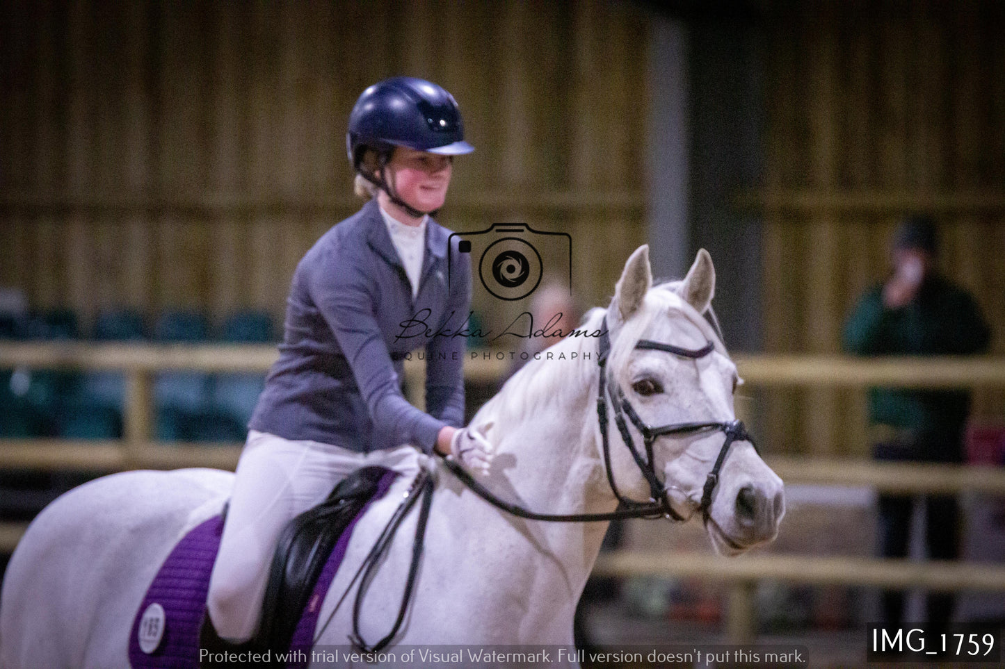 Home Farm Dressage 22nd January - Juniors