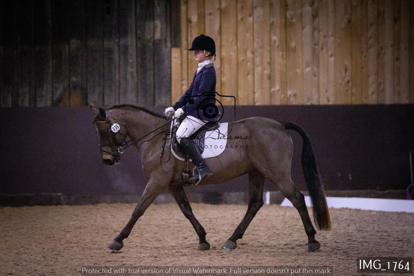 Home Farm Dressage 22nd January - Juniors