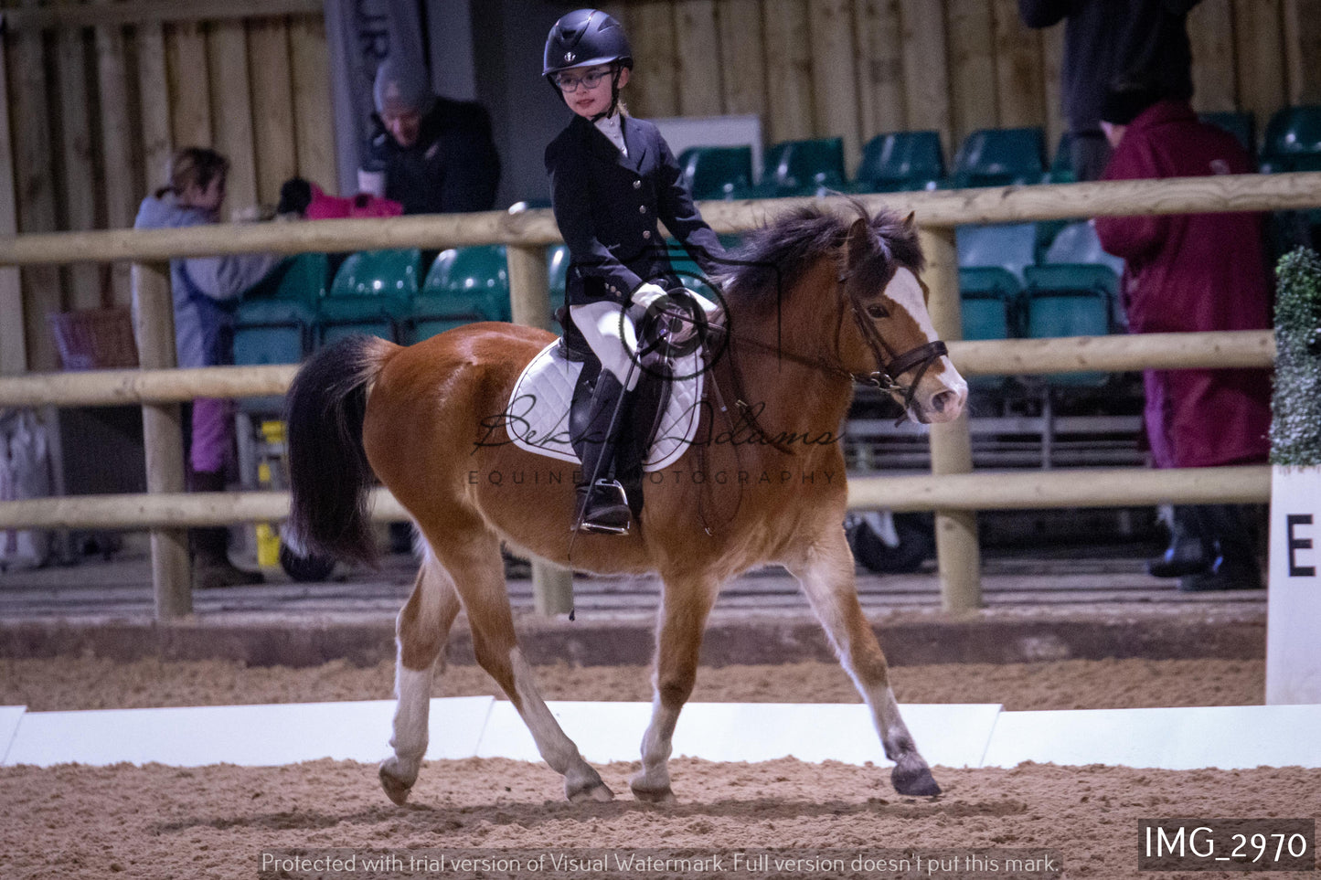 Home Farm Dressage 12th February - Juniors