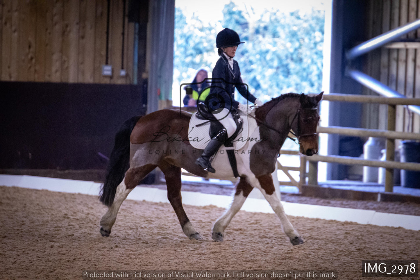 Home Farm Dressage 12th February - Juniors