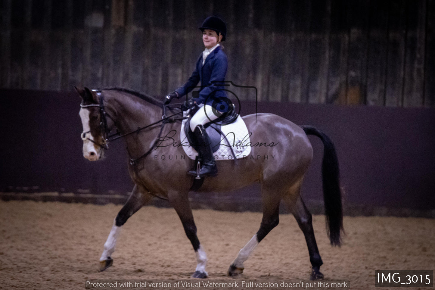 Home Farm Dressage 12th February - Juniors