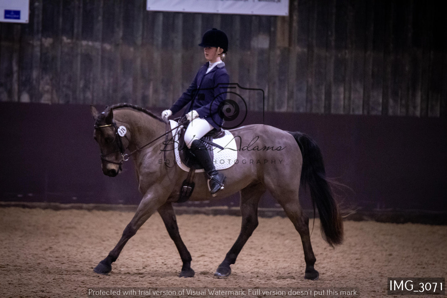 Home Farm Dressage 12th February - Juniors