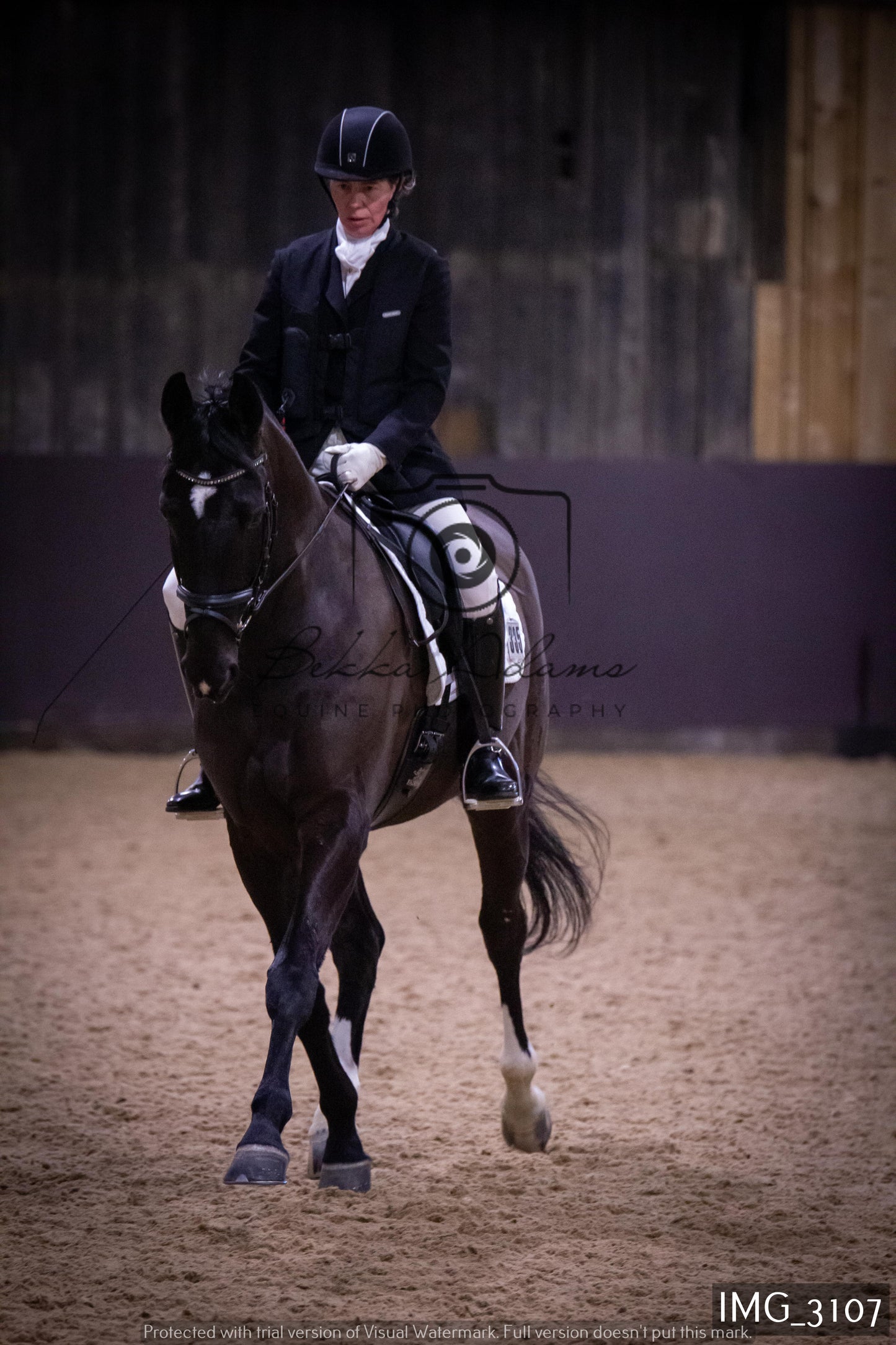 Home Farm Dressage 12th February - Seniors