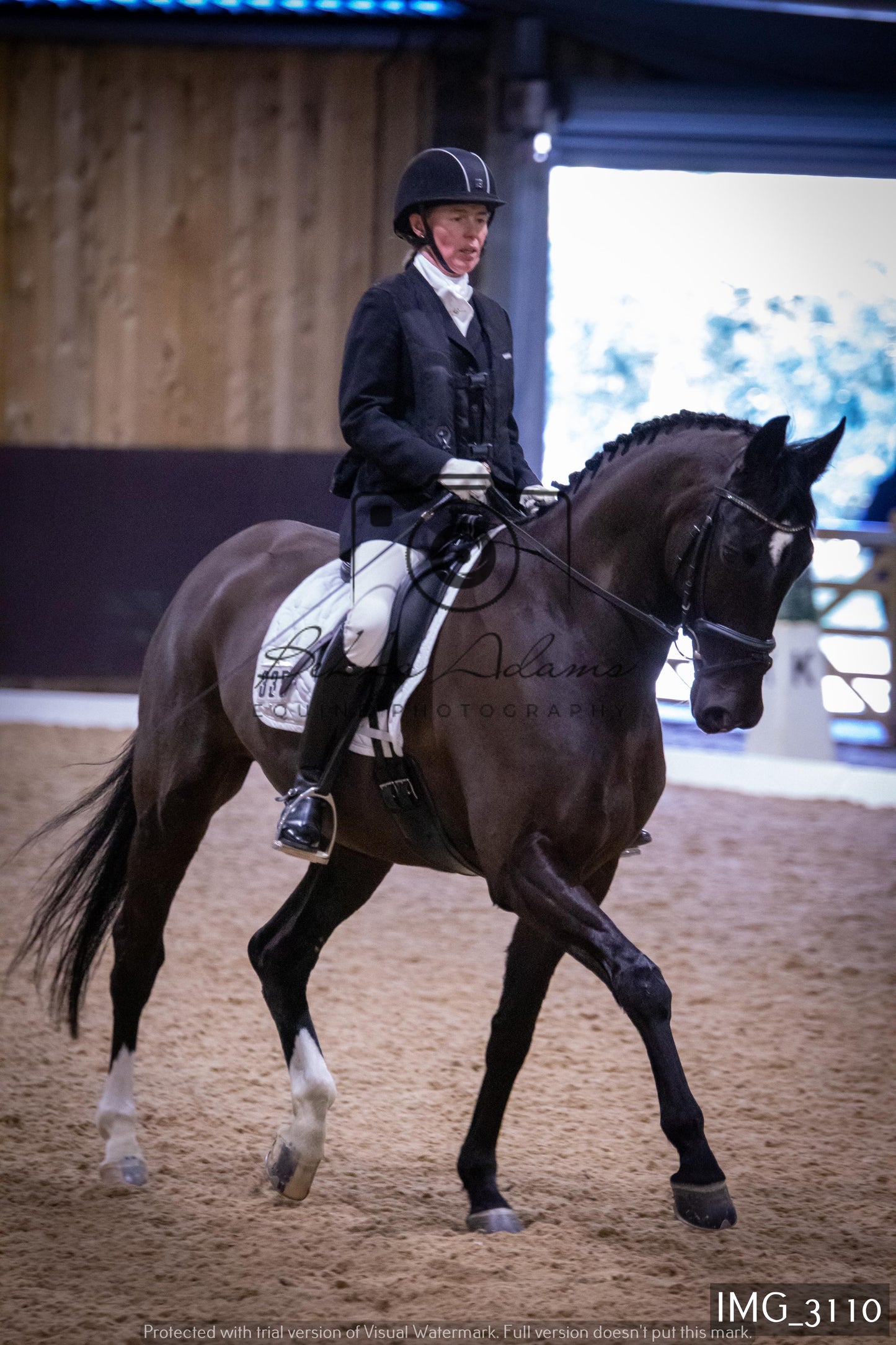 Home Farm Dressage 12th February - Seniors