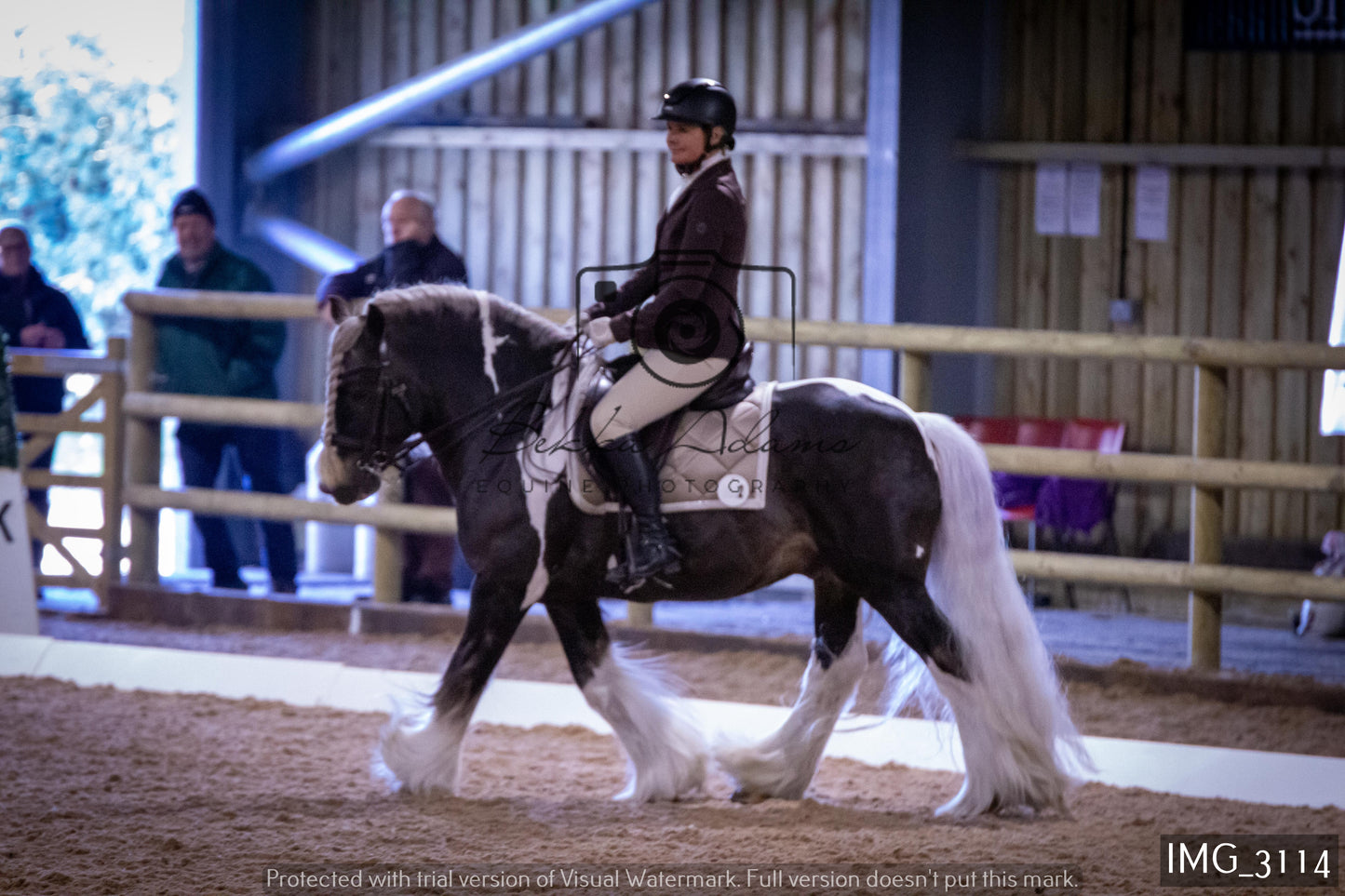 Home Farm Dressage 12th February - Seniors