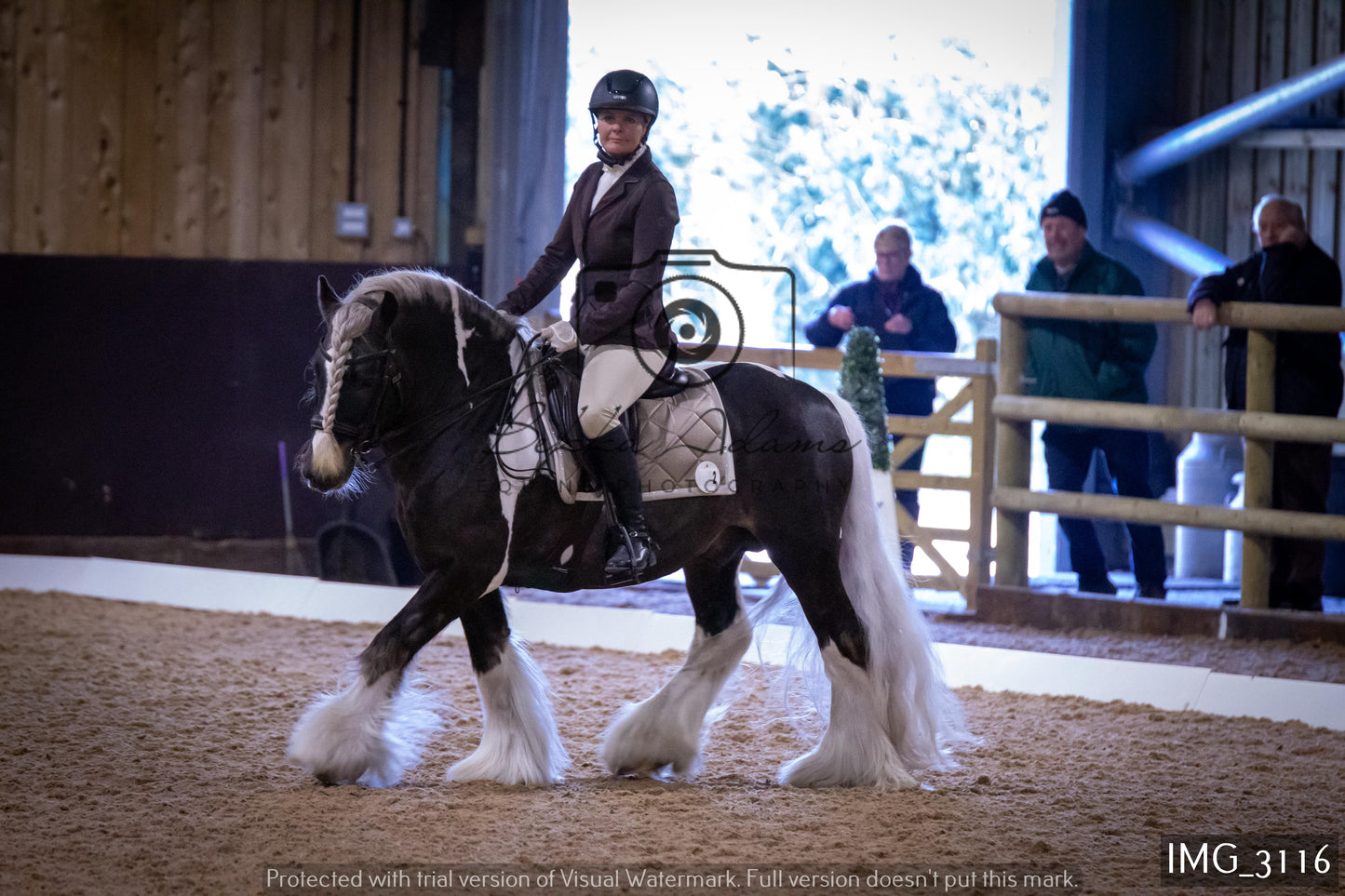 Home Farm Dressage 12th February - Seniors