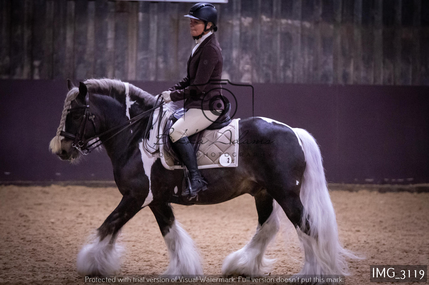 Home Farm Dressage 12th February - Seniors