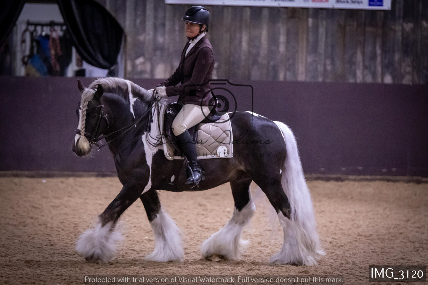 Home Farm Dressage 12th February - Seniors