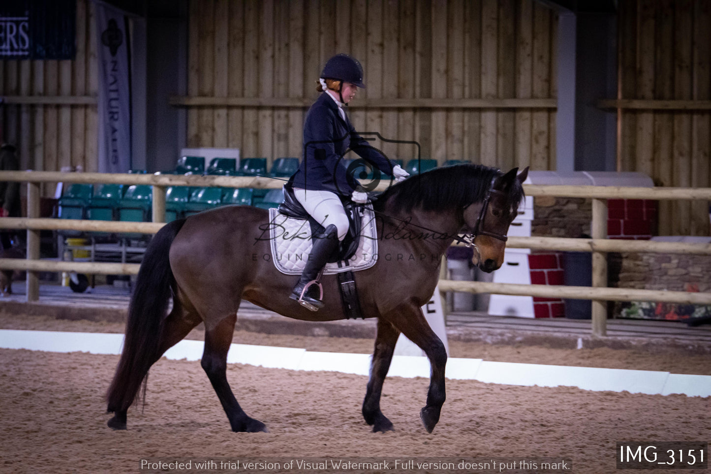 Home Farm Dressage 12th February - Seniors