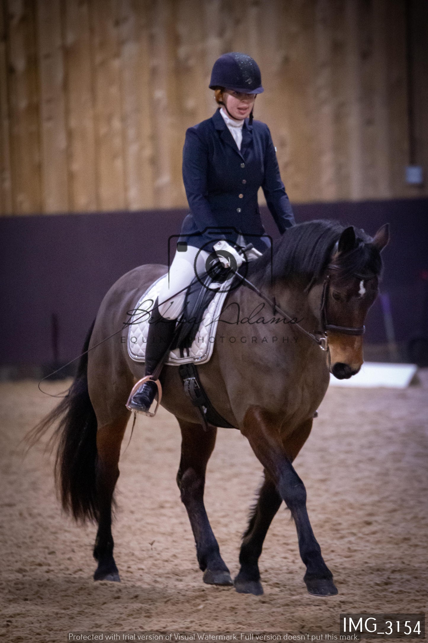 Home Farm Dressage 12th February - Seniors