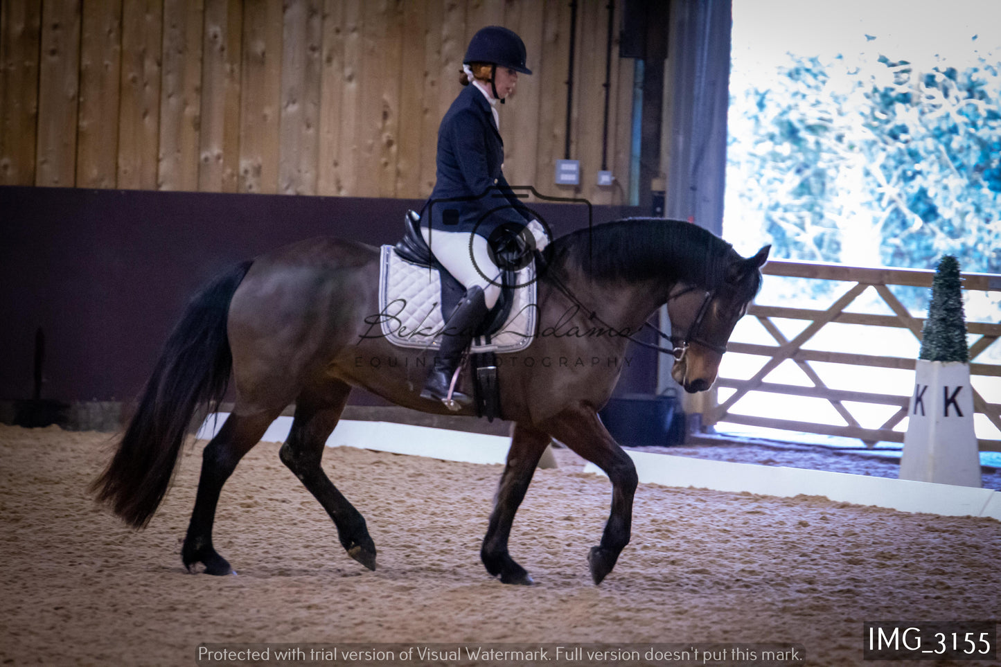 Home Farm Dressage 12th February - Seniors