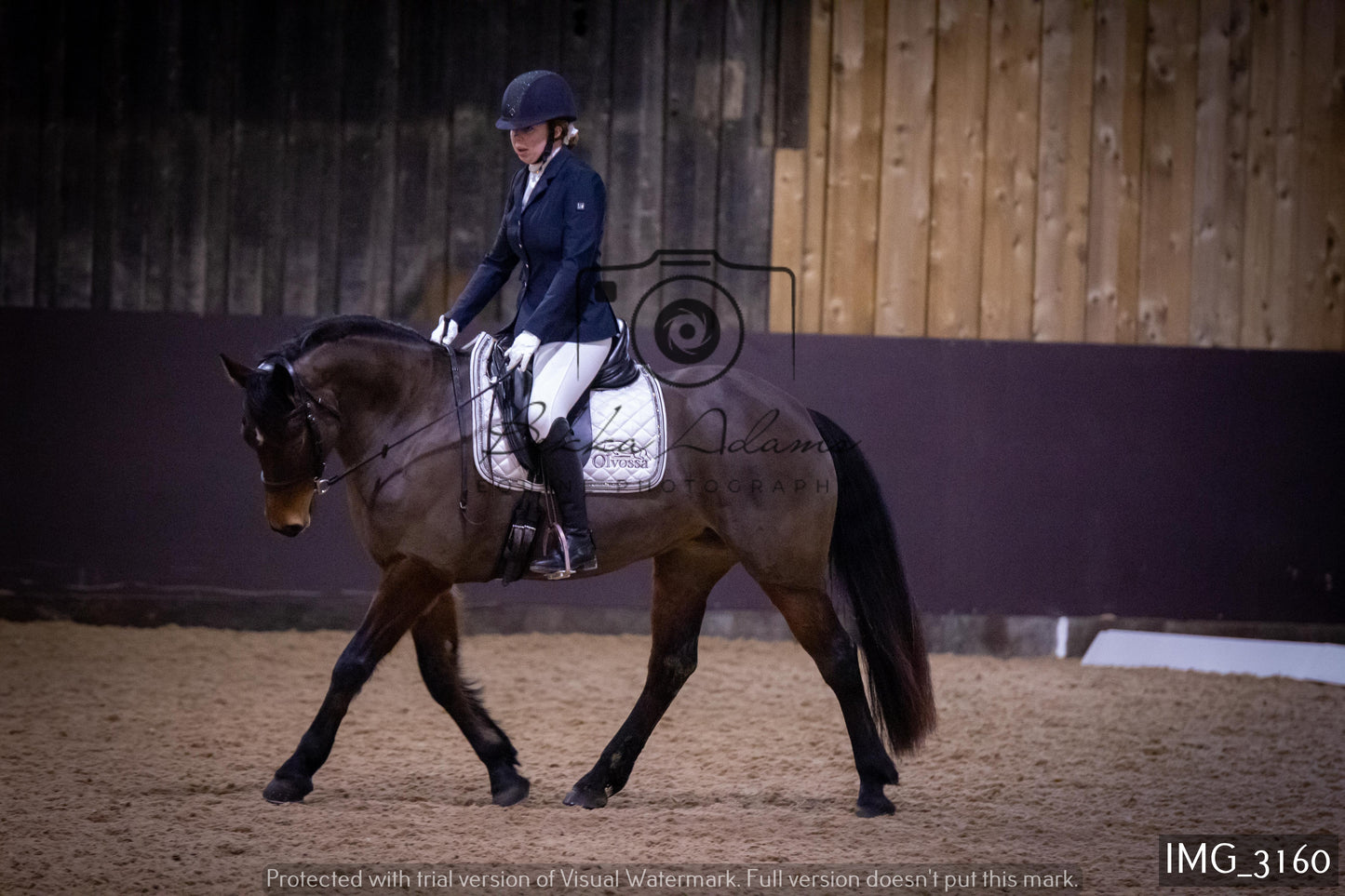 Home Farm Dressage 12th February - Seniors