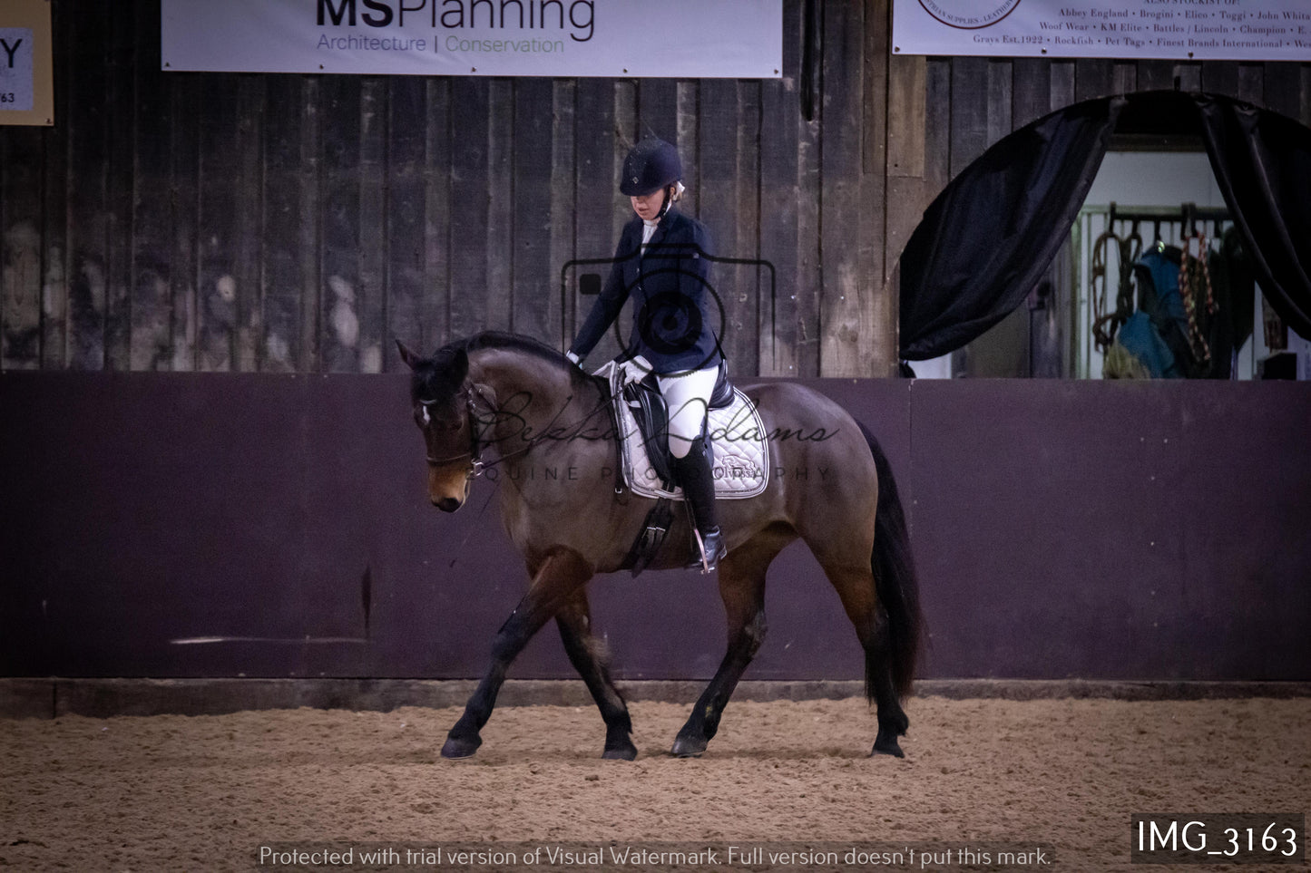 Home Farm Dressage 12th February - Seniors