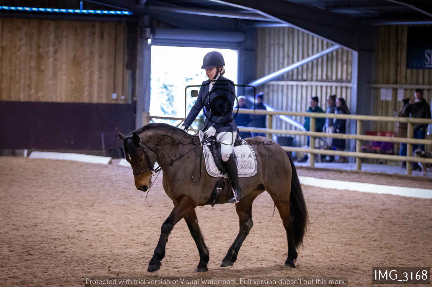 Home Farm Dressage 12th February - Seniors