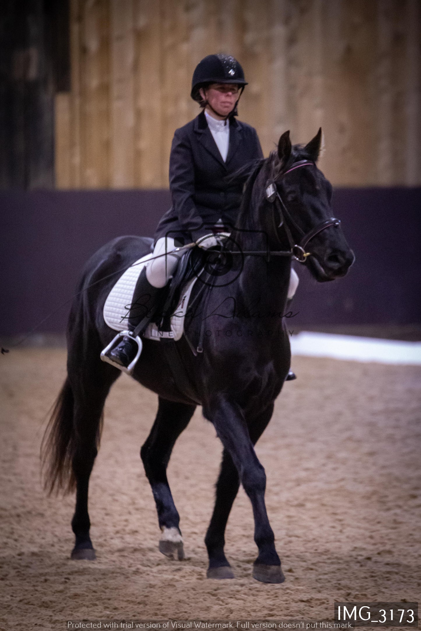 Home Farm Dressage 12th February - Seniors