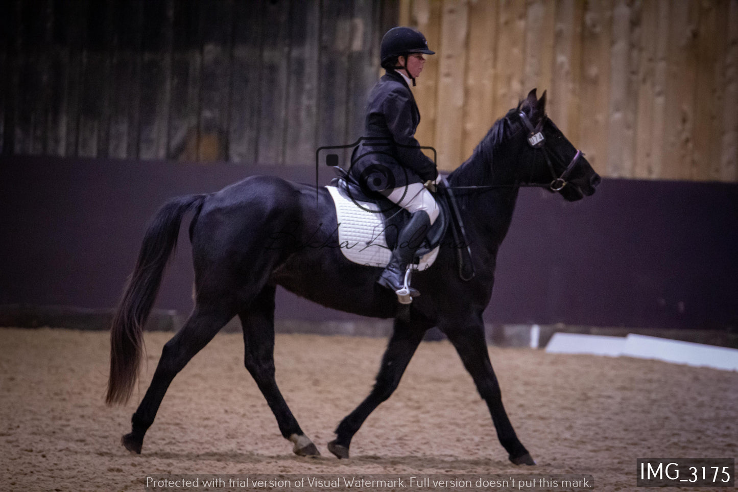 Home Farm Dressage 12th February - Seniors