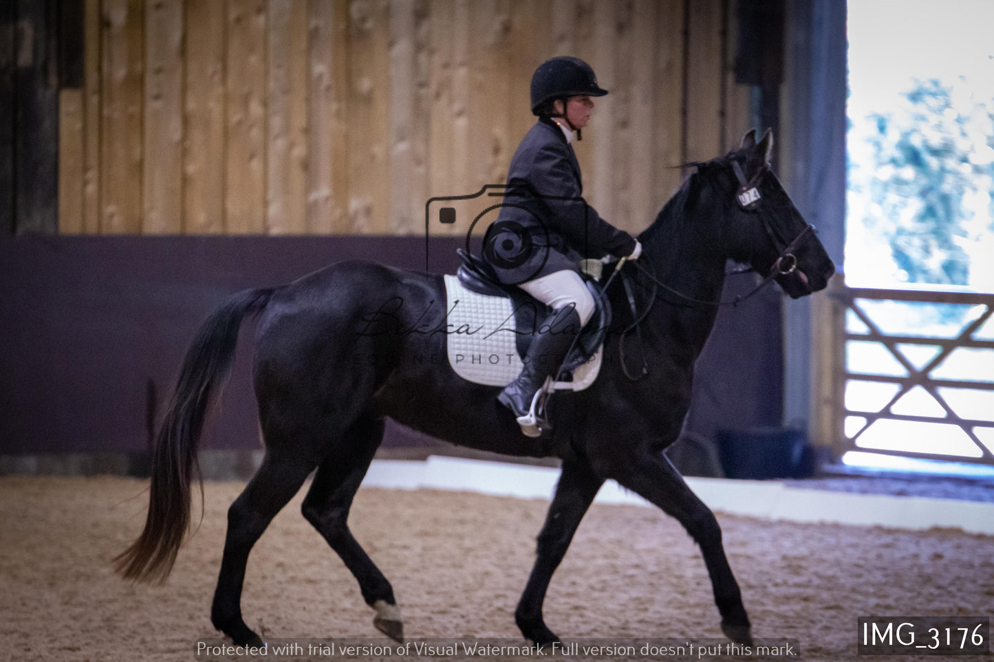 Home Farm Dressage 12th February - Seniors