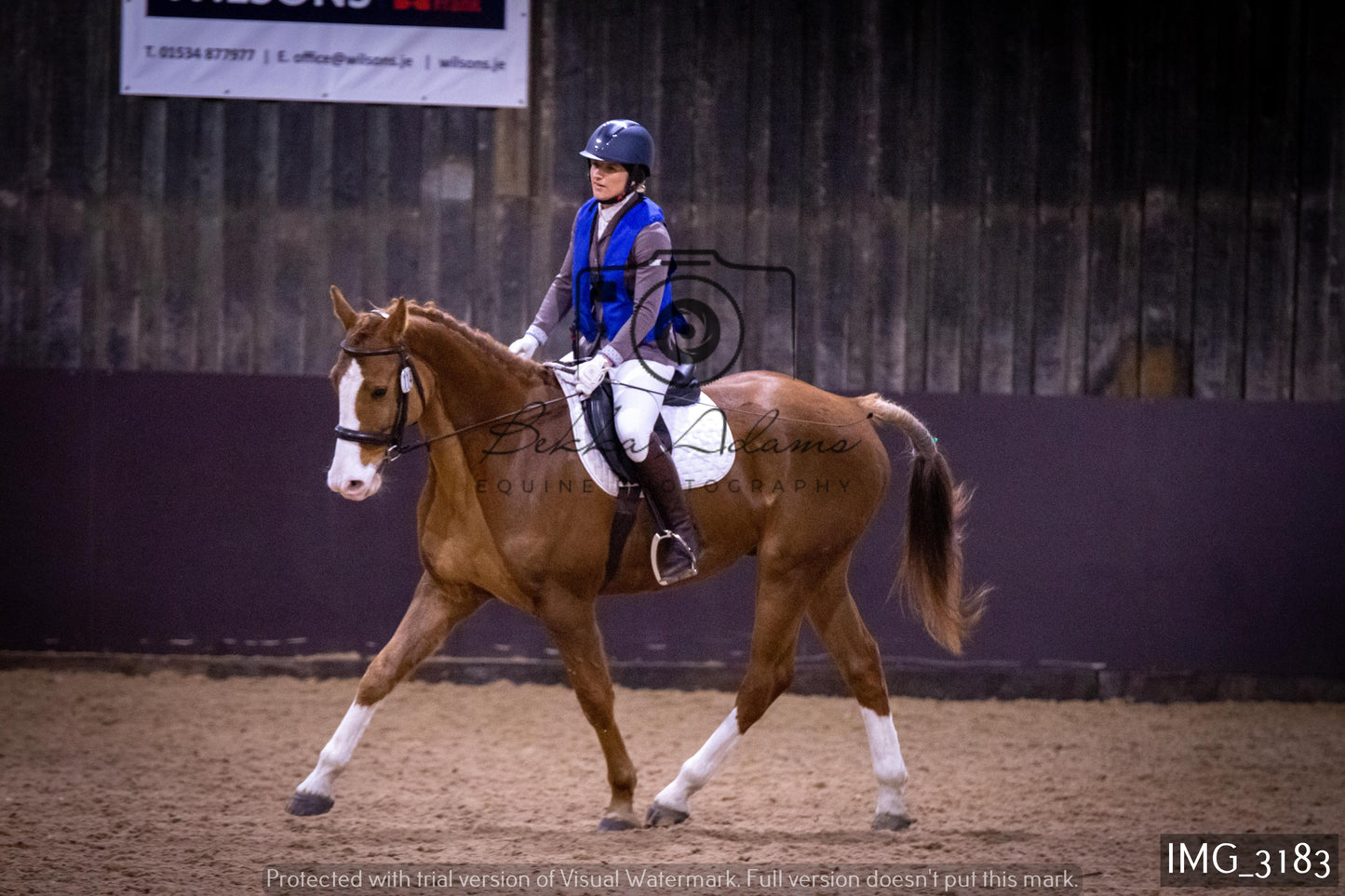 Home Farm Dressage 12th February - Seniors