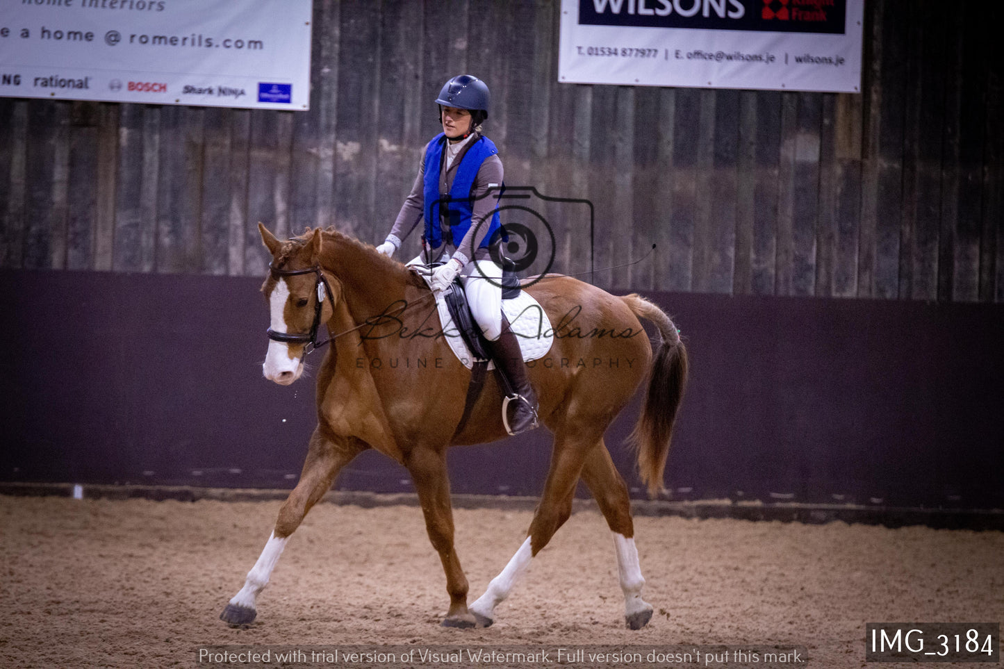 Home Farm Dressage 12th February - Seniors