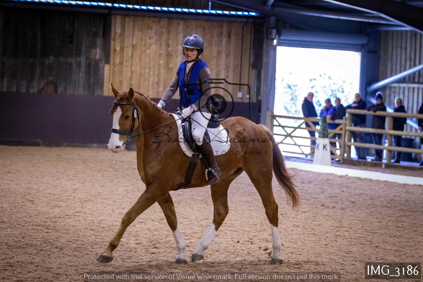 Home Farm Dressage 12th February - Seniors