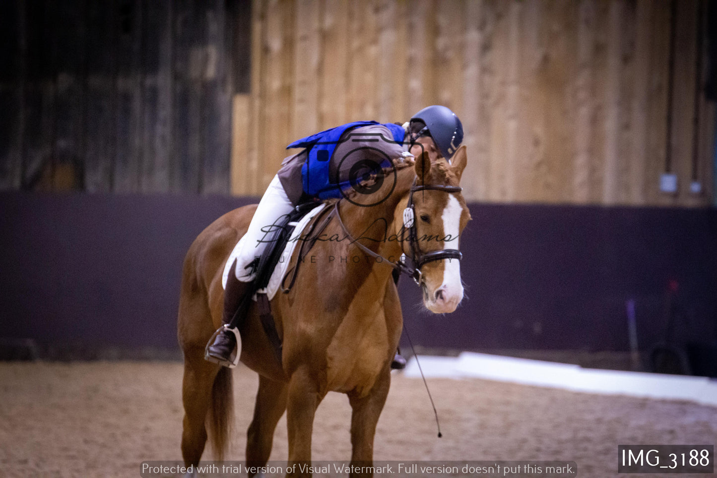 Home Farm Dressage 12th February - Seniors