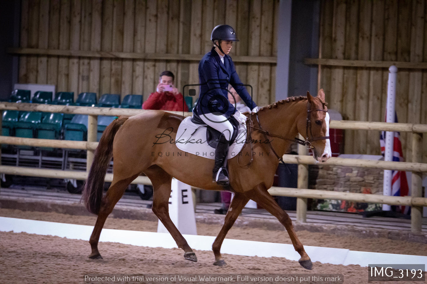 Home Farm Dressage 12th February - Seniors