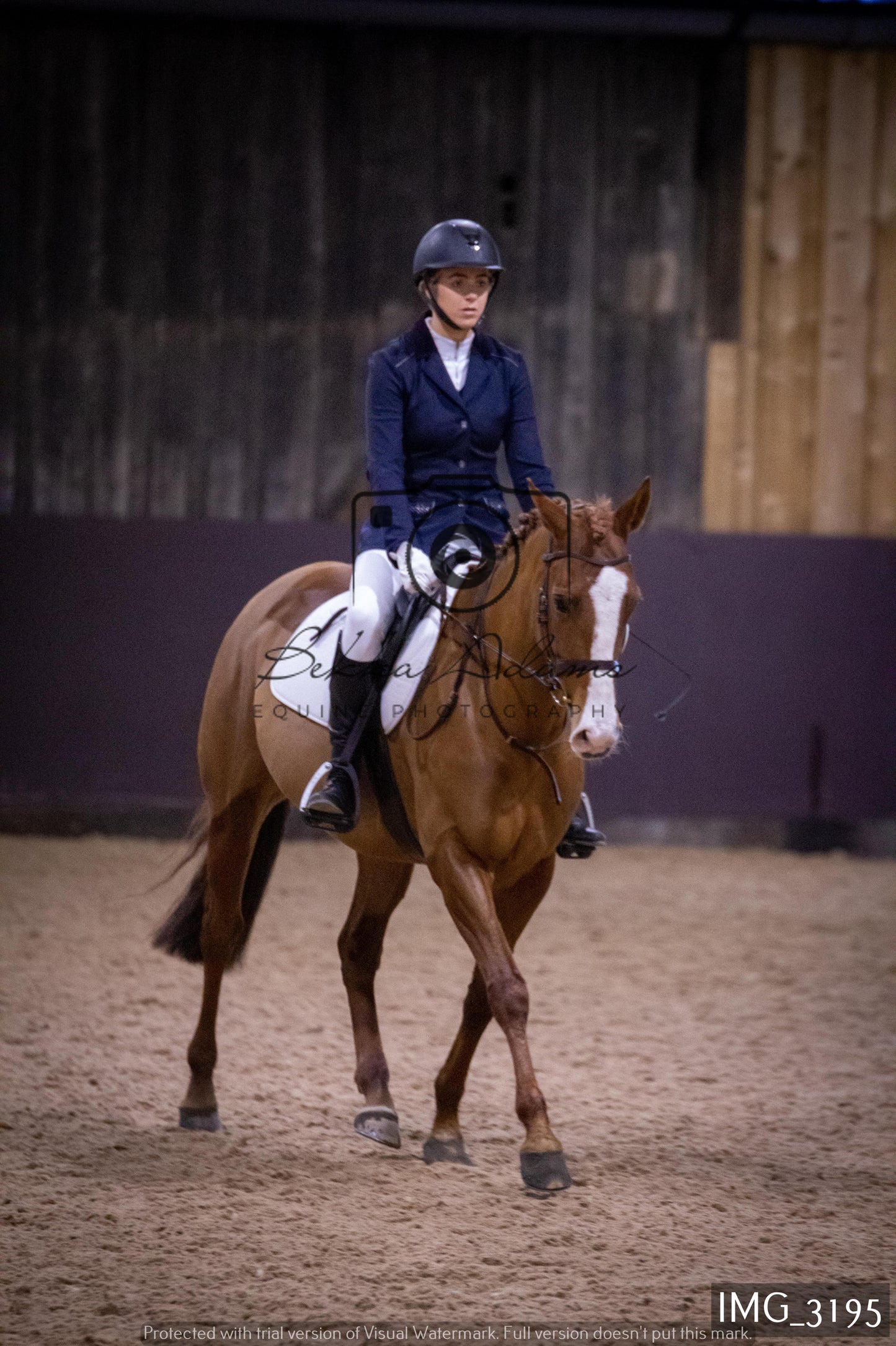 Home Farm Dressage 12th February - Seniors