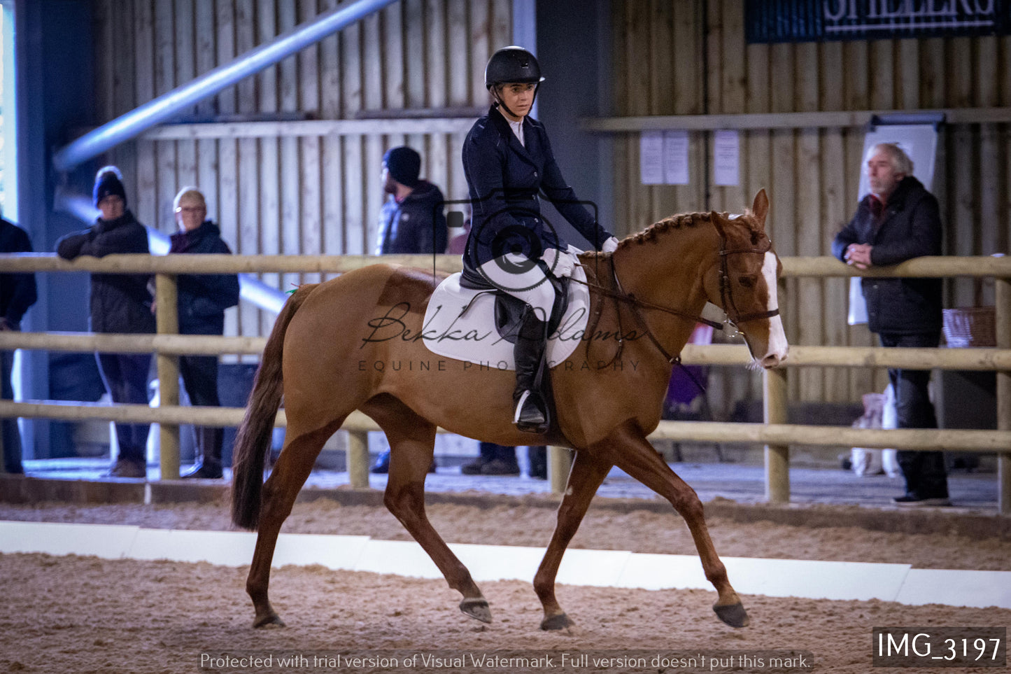 Home Farm Dressage 12th February - Seniors