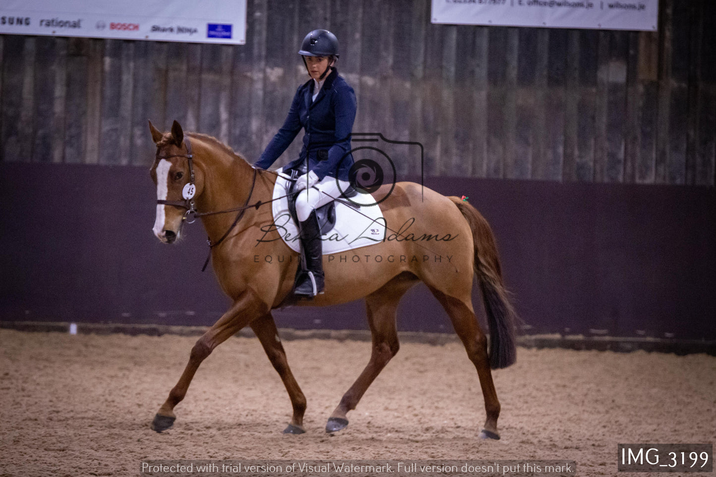 Home Farm Dressage 12th February - Seniors