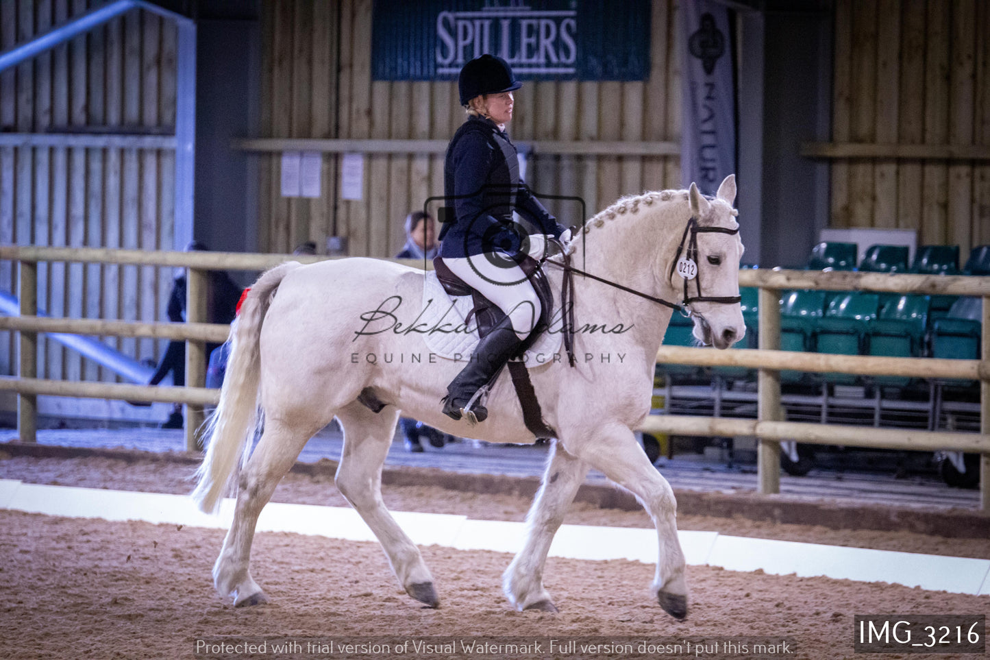 Home Farm Dressage 12th February - Seniors