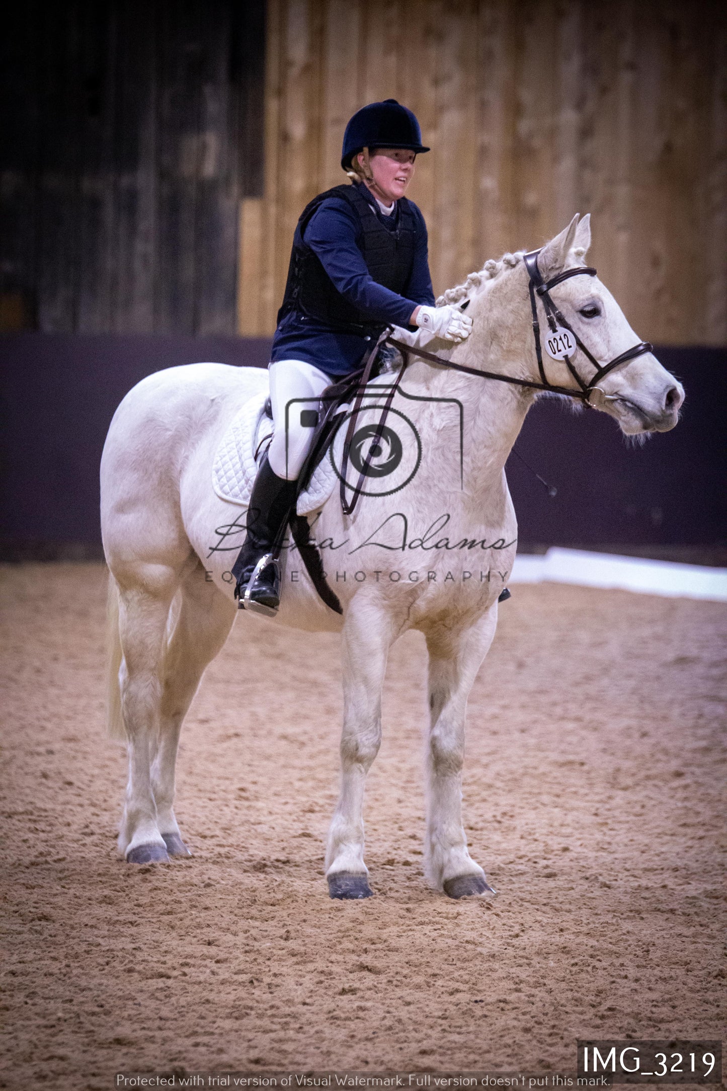 Home Farm Dressage 12th February - Seniors