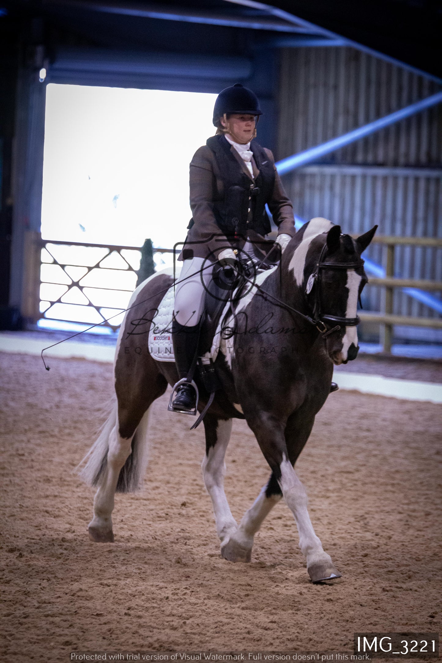 Home Farm Dressage 12th February - Seniors