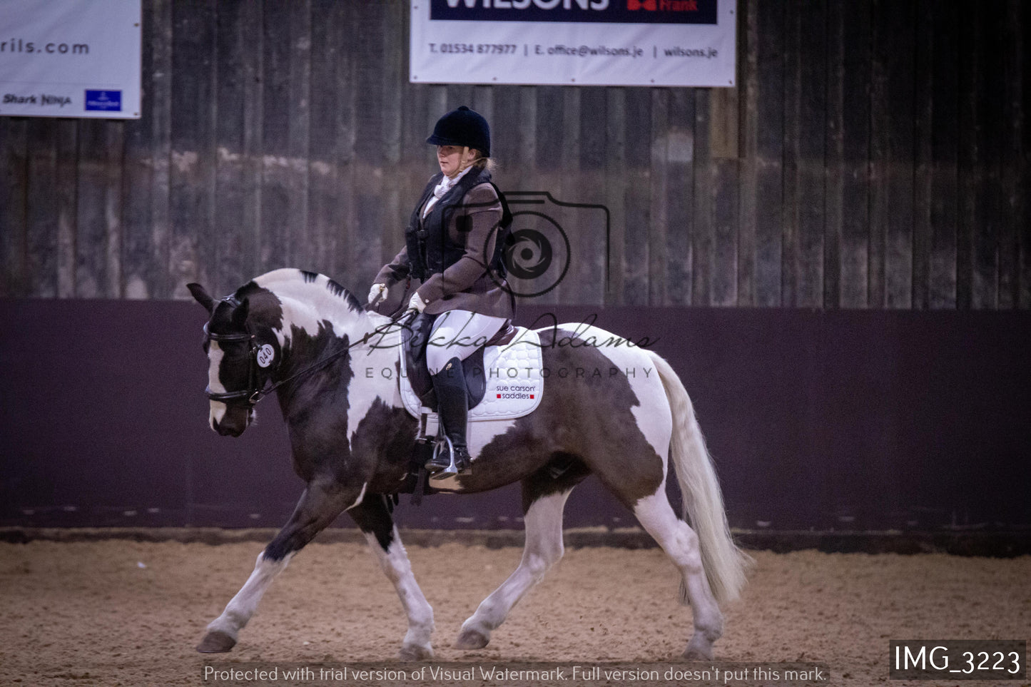 Home Farm Dressage 12th February - Seniors