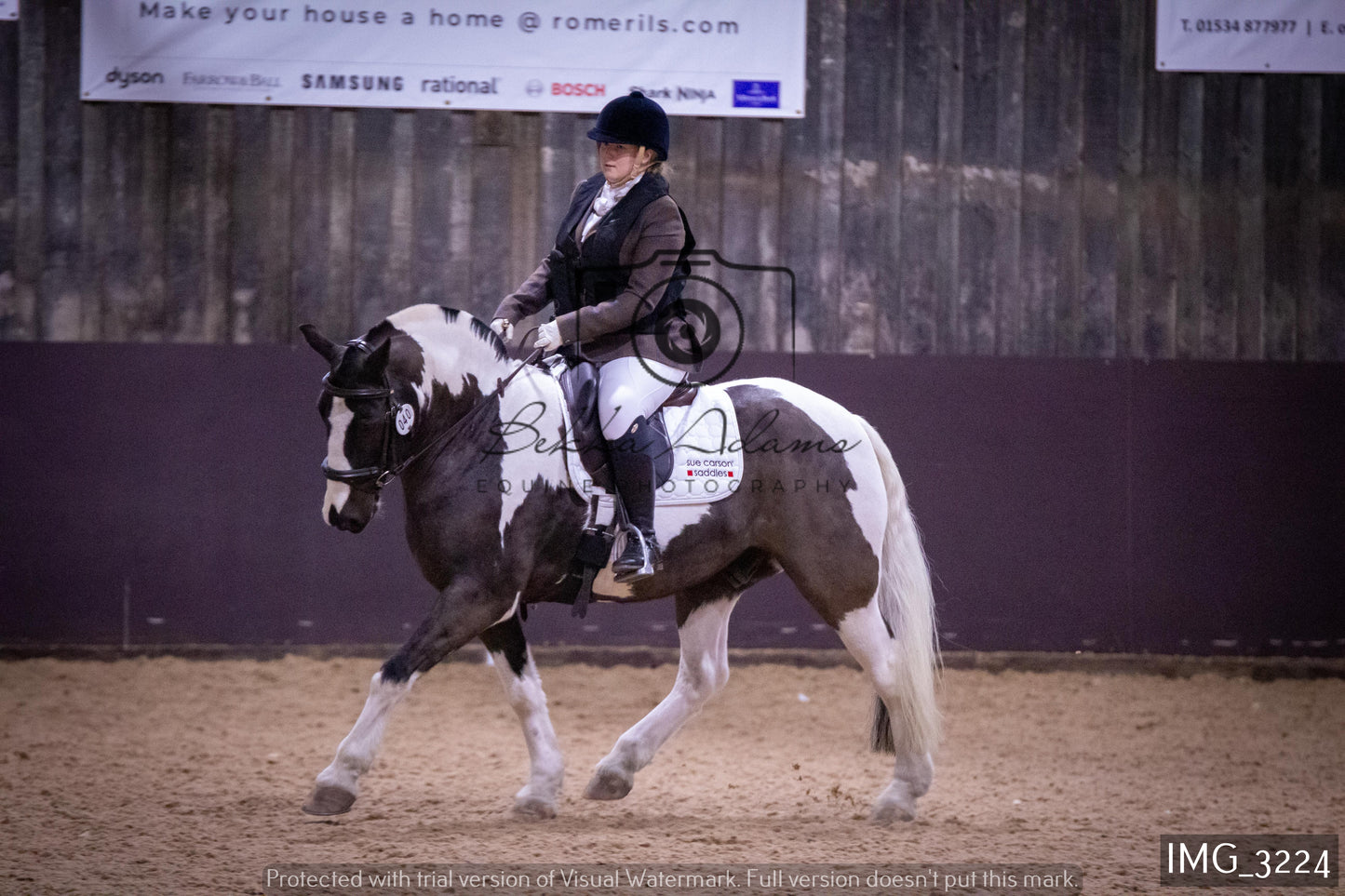 Home Farm Dressage 12th February - Seniors