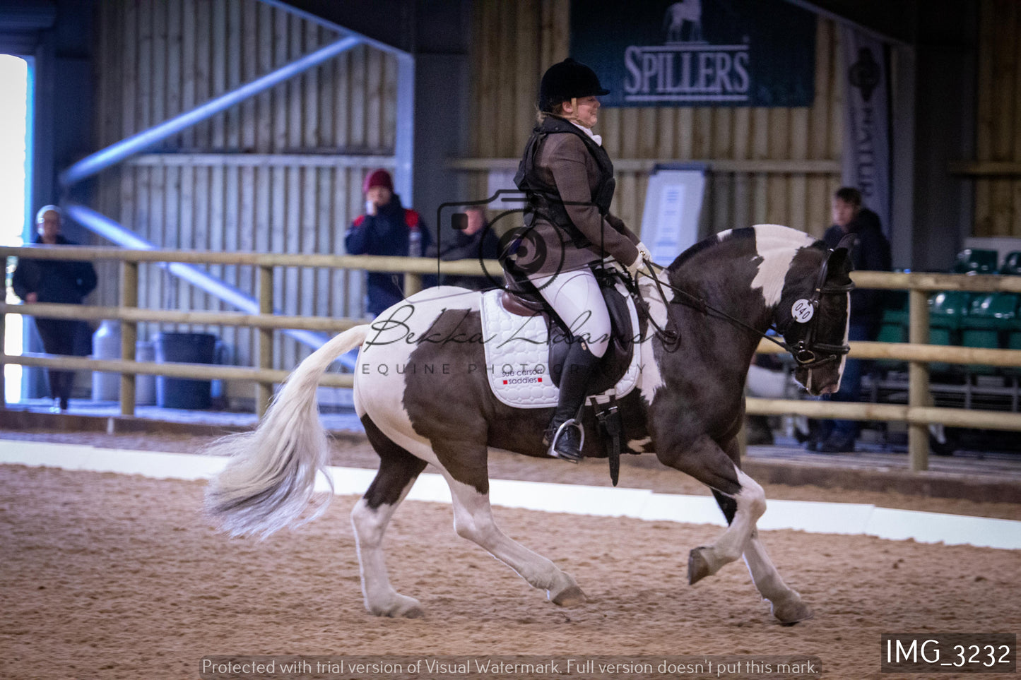 Home Farm Dressage 12th February - Seniors