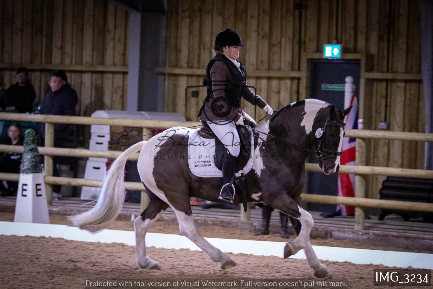 Home Farm Dressage 12th February - Seniors