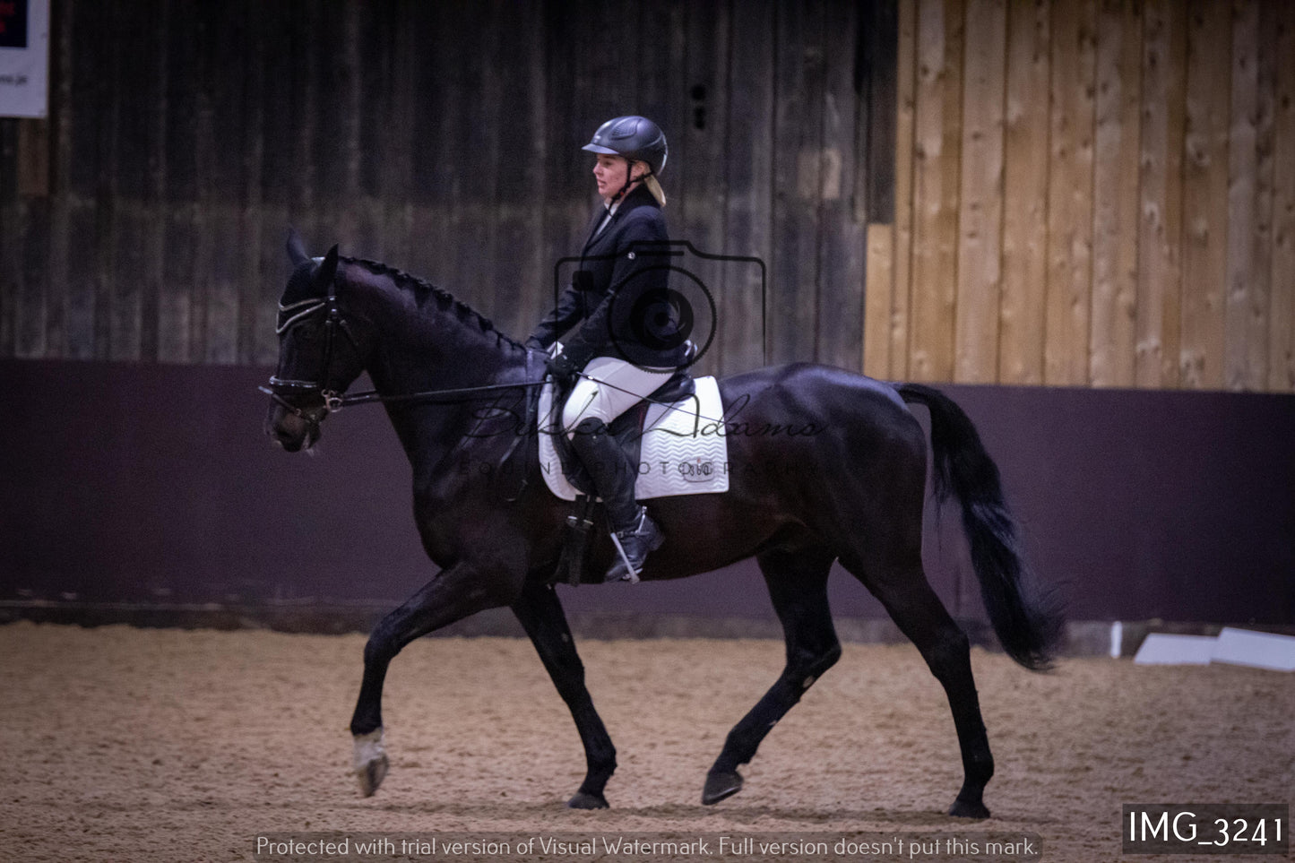 Home Farm Dressage 12th February - Seniors