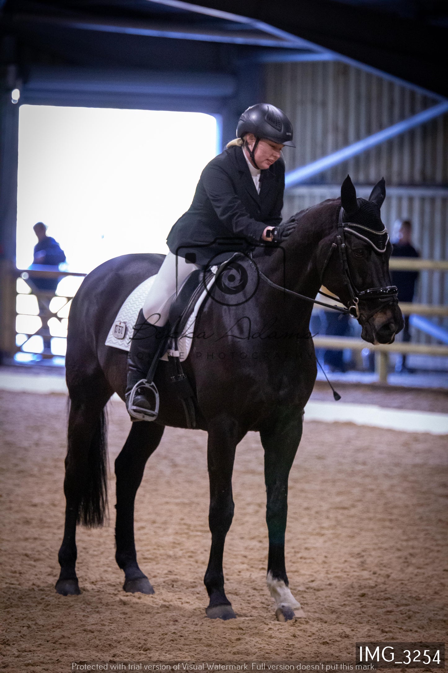 Home Farm Dressage 12th February - Seniors