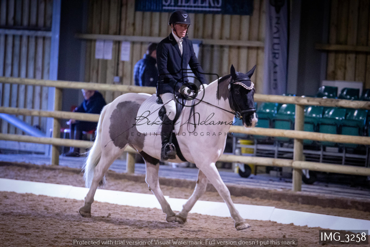 Home Farm Dressage 12th February - Seniors