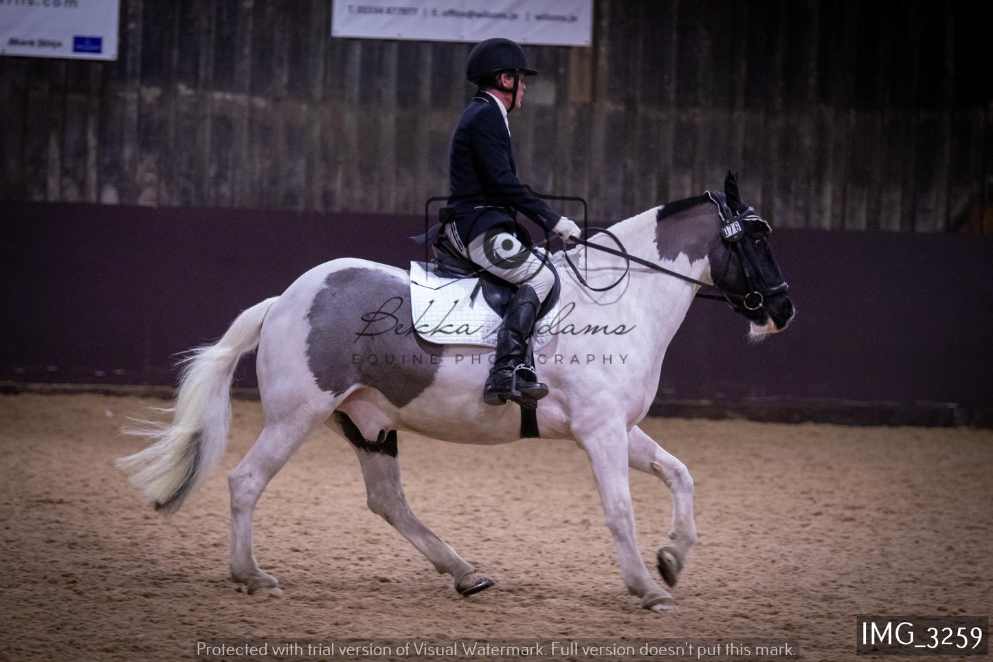 Home Farm Dressage 12th February - Seniors