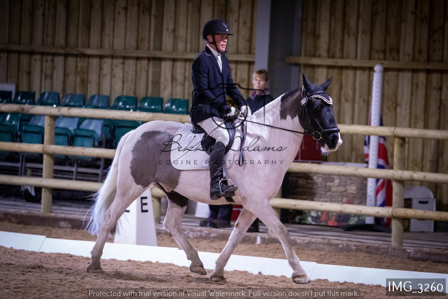 Home Farm Dressage 12th February - Seniors