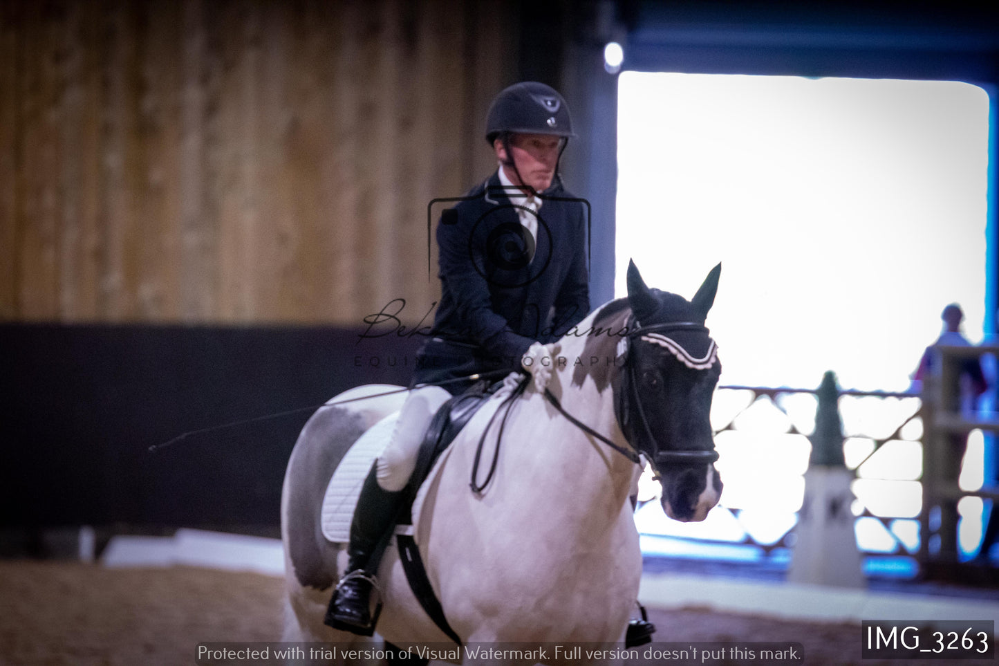 Home Farm Dressage 12th February - Seniors