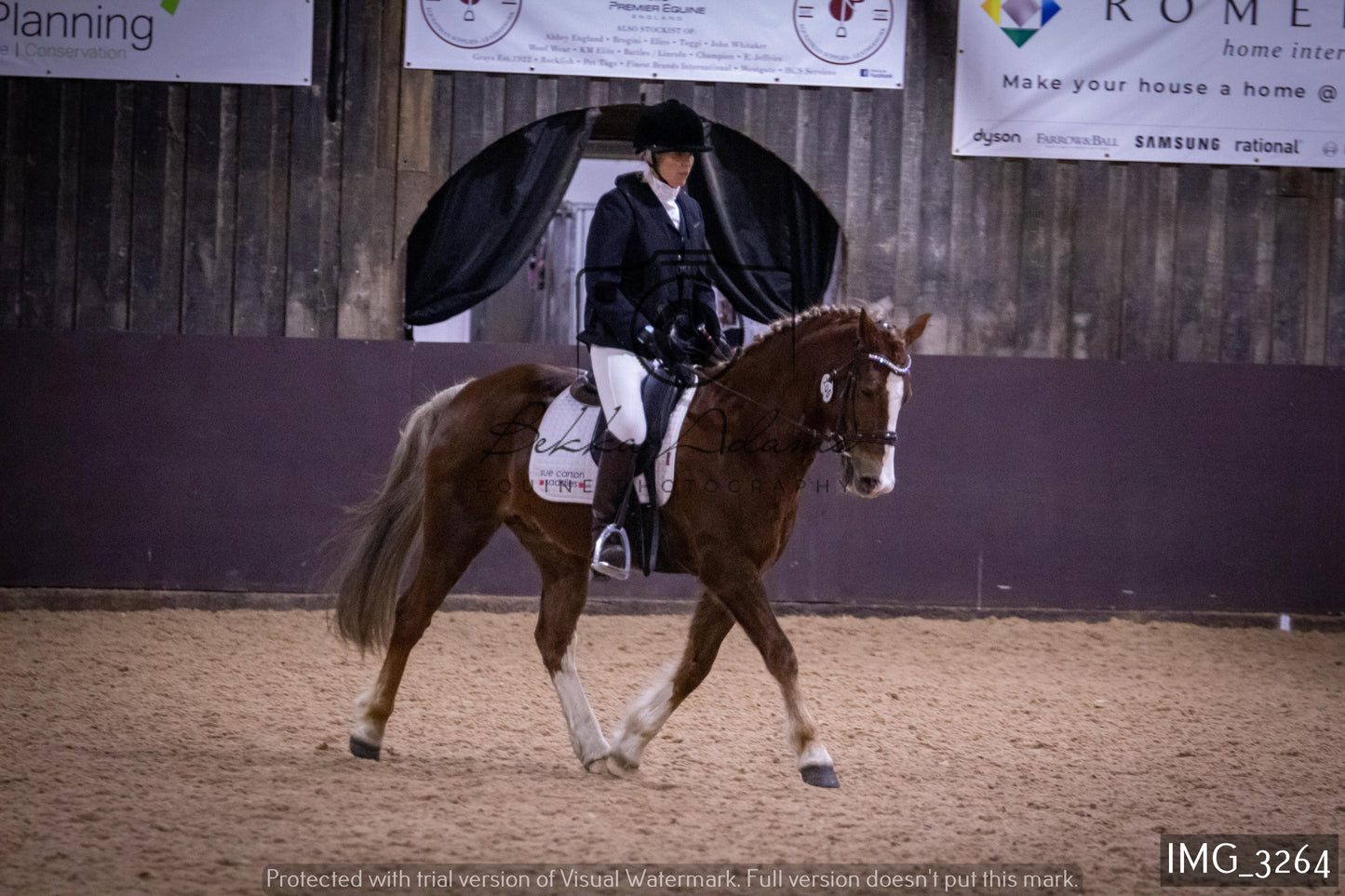 Home Farm Dressage 12th February - Seniors